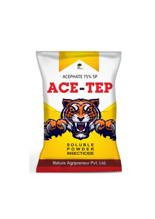 ACE-TEP