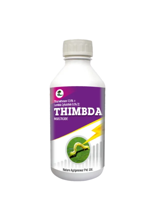 THIMBDA