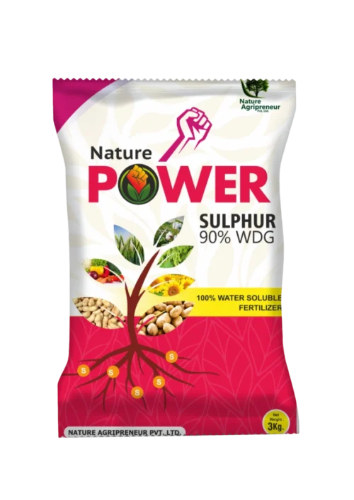 NATURE POWER SULPHUR 90% WDG