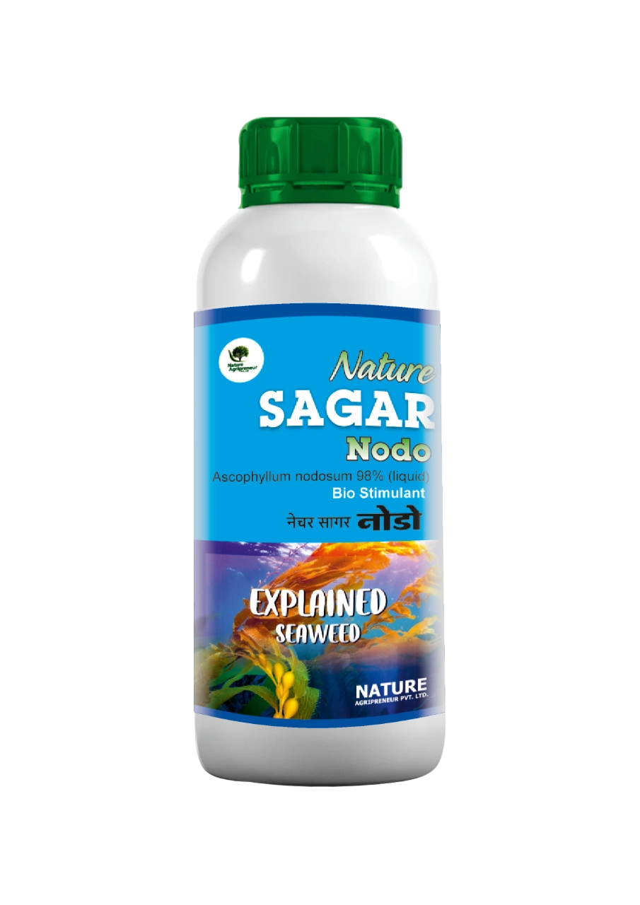 Nature SAGAR Nodo