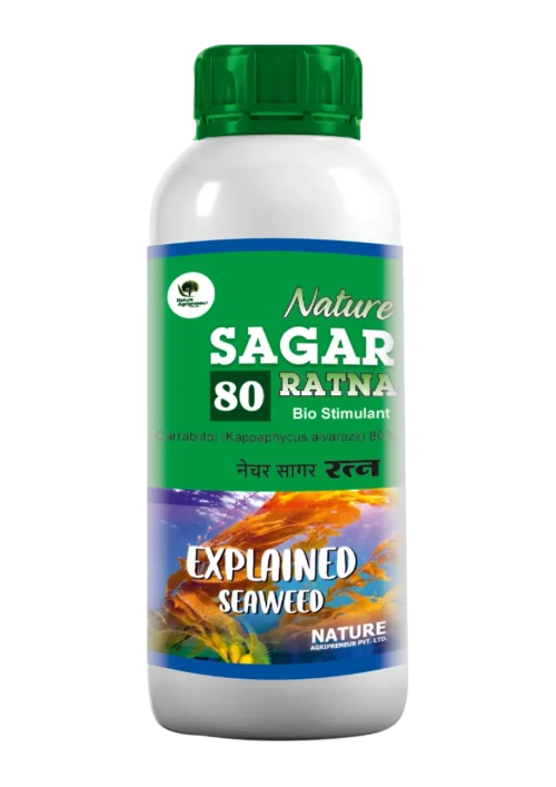 Nature SAGAR 80 RATNA