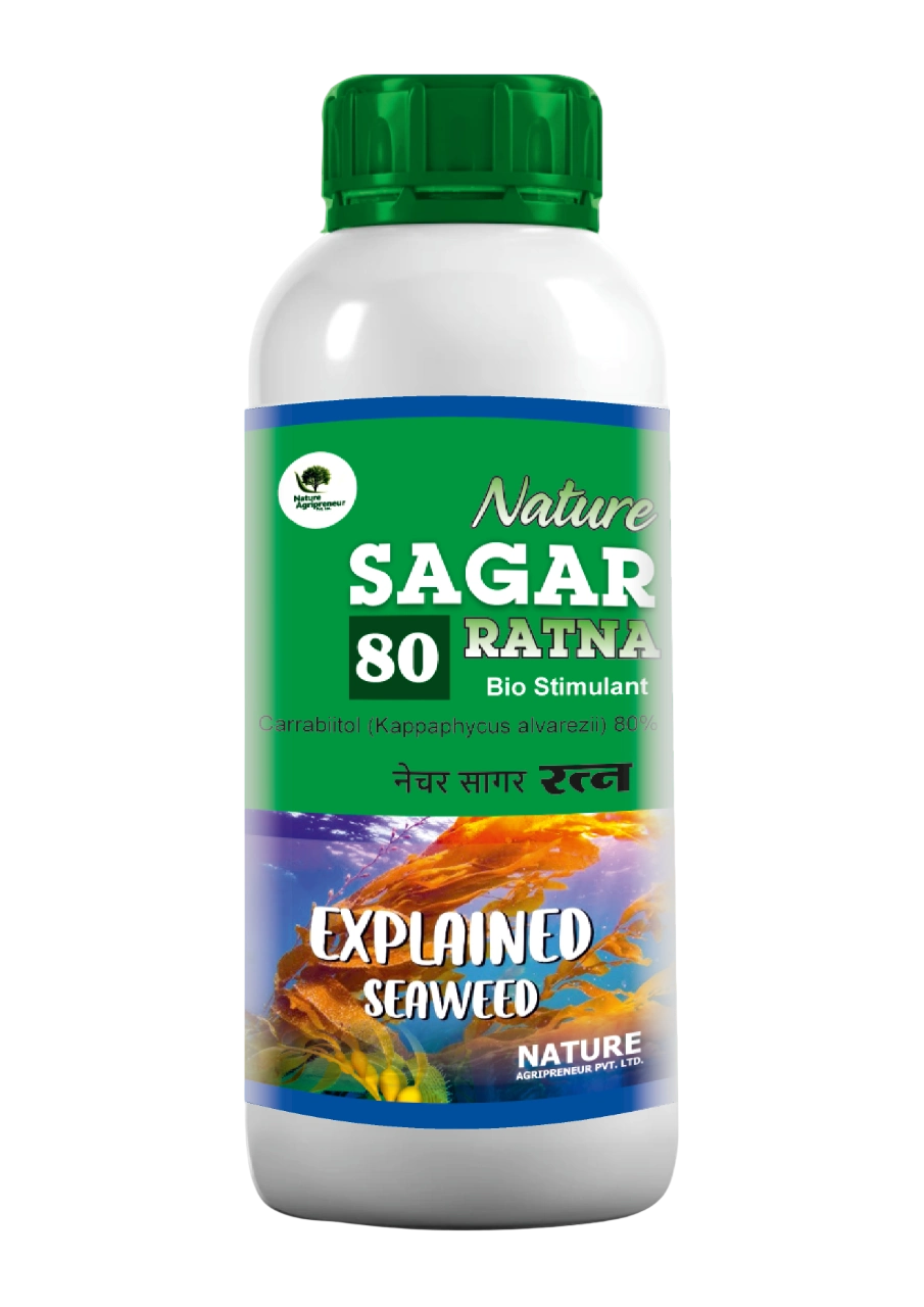 Nature SAGAR 80 RATNA