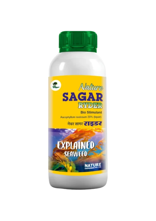 Nature SAGAR RYDER