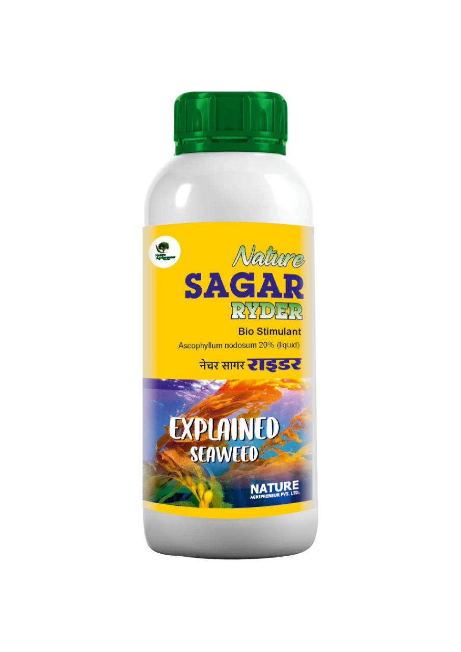 Nature SAGAR RYDER